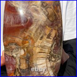 4710g Natural Fossil Petrified Wood Polished Freeform Crystal Mineral Healing 4710g Natural Fossil Petrified Wood Polished Freeform Crystal Mineral Healing