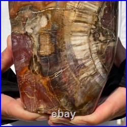 4710g Natural Fossil Petrified Wood Polished Freeform Crystal Mineral Healing 4710g Natural Fossil Petrified Wood Polished Freeform Crystal Mineral Healing