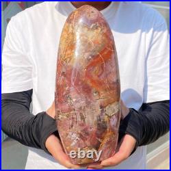 4710g Natural Fossil Petrified Wood Polished Freeform Crystal Mineral Healing 4710g Natural Fossil Petrified Wood Polished Freeform Crystal Mineral Healing