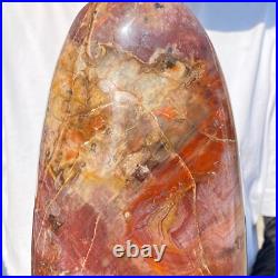 4710g Natural Fossil Petrified Wood Polished Freeform Crystal Mineral Healing 4710g Natural Fossil Petrified Wood Polished Freeform Crystal Mineral Healing