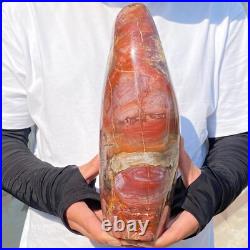 4710g Natural Fossil Petrified Wood Polished Freeform Crystal Mineral Healing 4710g Natural Fossil Petrified Wood Polished Freeform Crystal Mineral Healing