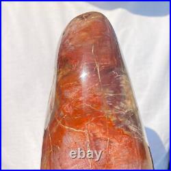 4710g Natural Fossil Petrified Wood Polished Freeform Crystal Mineral Healing 4710g Natural Fossil Petrified Wood Polished Freeform Crystal Mineral Healing