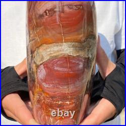 4710g Natural Fossil Petrified Wood Polished Freeform Crystal Mineral Healing 4710g Natural Fossil Petrified Wood Polished Freeform Crystal Mineral Healing