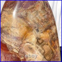 4710g Natural Fossil Petrified Wood Polished Freeform Crystal Mineral Healing 4710g Natural Fossil Petrified Wood Polished Freeform Crystal Mineral Healing
