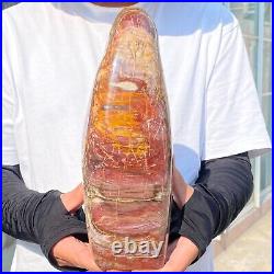 4710g Natural Fossil Petrified Wood Polished Freeform Crystal Mineral Healing 4710g Natural Fossil Petrified Wood Polished Freeform Crystal Mineral Healing