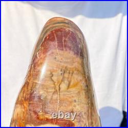 4710g Natural Fossil Petrified Wood Polished Freeform Crystal Mineral Healing 4710g Natural Fossil Petrified Wood Polished Freeform Crystal Mineral Healing