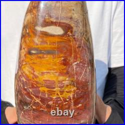 4710g Natural Fossil Petrified Wood Polished Freeform Crystal Mineral Healing 4710g Natural Fossil Petrified Wood Polished Freeform Crystal Mineral Healing