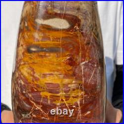 4710g Natural Fossil Petrified Wood Polished Freeform Crystal Mineral Healing 4710g Natural Fossil Petrified Wood Polished Freeform Crystal Mineral Healing