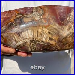 4710g Natural Fossil Petrified Wood Polished Freeform Crystal Mineral Healing 4710g Natural Fossil Petrified Wood Polished Freeform Crystal Mineral Healing