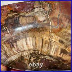4710g Natural Fossil Petrified Wood Polished Freeform Crystal Mineral Healing 4710g Natural Fossil Petrified Wood Polished Freeform Crystal Mineral Healing