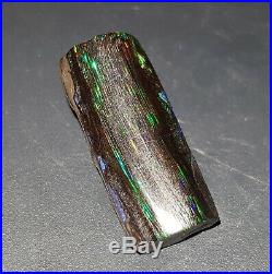 47.65 cts STUNNING! Opalized Petrified Wood Opal Indonesia