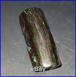 47.65 cts STUNNING! Opalized Petrified Wood Opal Indonesia
