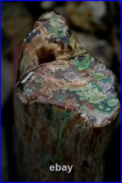 47kg Natural Rare Green Opalized Petrified Wood Polished for Display and Decor