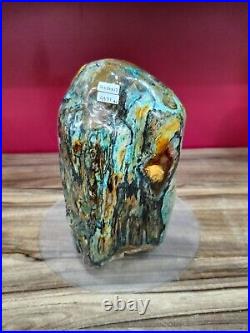 4971gr Rare strong energy and powerful blue chrysocolla petrified wood polished