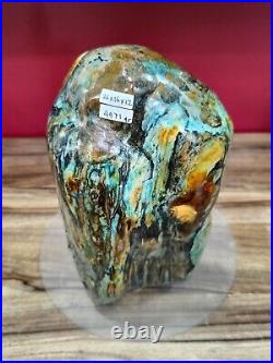 4971gr Rare strong energy and powerful blue chrysocolla petrified wood polished