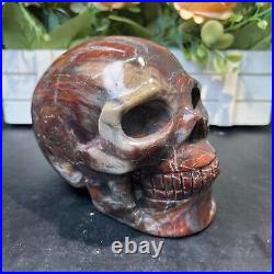 4LB 5.5 Natural Petrified Wood Skull Crystal Quartz Decoration Ornament Energy