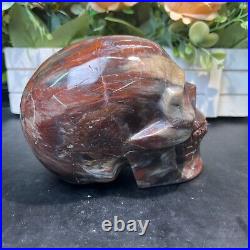 4LB 5.5 Natural Petrified Wood Skull Crystal Quartz Decoration Ornament Energy