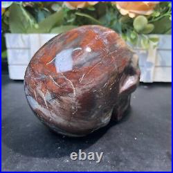 4LB 5.5 Natural Petrified Wood Skull Crystal Quartz Decoration Ornament Energy