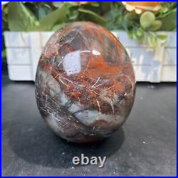 4LB 5.5 Natural Petrified Wood Skull Crystal Quartz Decoration Ornament Energy