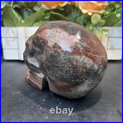 4LB 5.5 Natural Petrified Wood Skull Crystal Quartz Decoration Ornament Energy