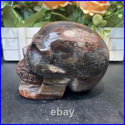 4LB 5.5 Natural Petrified Wood Skull Crystal Quartz Decoration Ornament Energy