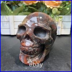 4LB 5.5 Natural Petrified Wood Skull Crystal Quartz Decoration Ornament Energy