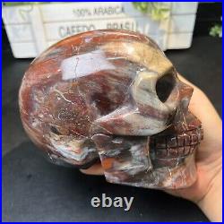 4LB 5.5 Natural Petrified Wood Skull Crystal Quartz Decoration Ornament Energy