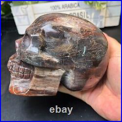 4LB 5.5 Natural Petrified Wood Skull Crystal Quartz Decoration Ornament Energy