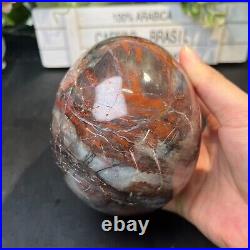 4LB 5.5 Natural Petrified Wood Skull Crystal Quartz Decoration Ornament Energy