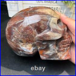 4LB 5.5 Natural Petrified Wood Skull Crystal Quartz Decoration Ornament Energy