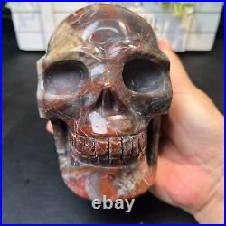 4LB 5.5 Natural Petrified Wood Skull Crystal Quartz Decoration Ornament Energy