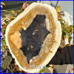 4.04LB Large Natural Petrified Wood Crystal Fossil Slice Shape Healing Specimen 4.04LB Large Natural Petrified Wood Crystal Fossil Slice Shape Healing Specimen