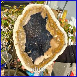 4.04LB Large Natural Petrified Wood Crystal Fossil Slice Shape Healing Specimen 4.04LB Large Natural Petrified Wood Crystal Fossil Slice Shape Healing Specimen