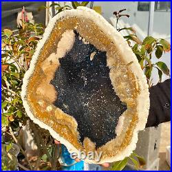 4.04LB Large Natural Petrified Wood Crystal Fossil Slice Shape Healing Specimen 4.04LB Large Natural Petrified Wood Crystal Fossil Slice Shape Healing Specimen