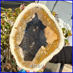 4.04LB Large Natural Petrified Wood Crystal Fossil Slice Shape Healing Specimen 4.04LB Large Natural Petrified Wood Crystal Fossil Slice Shape Healing Specimen