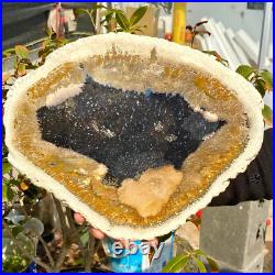 4.04LB Large Natural Petrified Wood Crystal Fossil Slice Shape Healing Specimen 4.04LB Large Natural Petrified Wood Crystal Fossil Slice Shape Healing Specimen