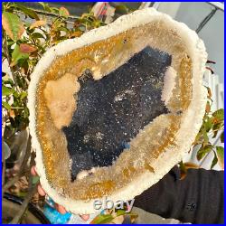 4.04LB Large Natural Petrified Wood Crystal Fossil Slice Shape Healing Specimen 4.04LB Large Natural Petrified Wood Crystal Fossil Slice Shape Healing Specimen
