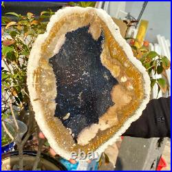4.04LB Large Natural Petrified Wood Crystal Fossil Slice Shape Healing Specimen 4.04LB Large Natural Petrified Wood Crystal Fossil Slice Shape Healing Specimen