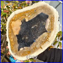 4.04LB Large Natural Petrified Wood Crystal Fossil Slice Shape Healing Specimen 4.04LB Large Natural Petrified Wood Crystal Fossil Slice Shape Healing Specimen