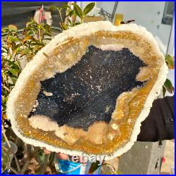 4.04LB Large Natural Petrified Wood Crystal Fossil Slice Shape Healing Specimen 4.04LB Large Natural Petrified Wood Crystal Fossil Slice Shape Healing Specimen