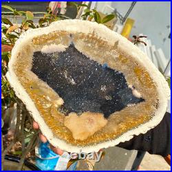 4.04LB Large Natural Petrified Wood Crystal Fossil Slice Shape Healing Specimen 4.04LB Large Natural Petrified Wood Crystal Fossil Slice Shape Healing Specimen