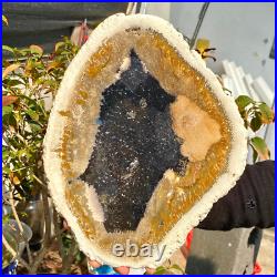 4.04LB Large Natural Petrified Wood Crystal Fossil Slice Shape Healing Specimen 4.04LB Large Natural Petrified Wood Crystal Fossil Slice Shape Healing Specimen