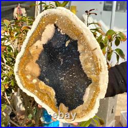 4.04LB Large Natural Petrified Wood Crystal Fossil Slice Shape Healing Specimen 4.04LB Large Natural Petrified Wood Crystal Fossil Slice Shape Healing Specimen