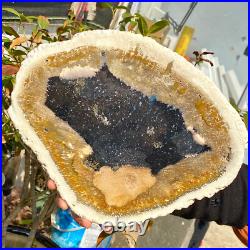 4.04LB Large Natural Petrified Wood Crystal Fossil Slice Shape Healing Specimen 4.04LB Large Natural Petrified Wood Crystal Fossil Slice Shape Healing Specimen