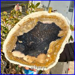 4.04LB Large Natural Petrified Wood Crystal Fossil Slice Shape Healing Specimen 4.04LB Large Natural Petrified Wood Crystal Fossil Slice Shape Healing Specimen
