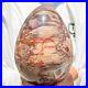 4_06LB_Large_Natural_Fossil_Petrified_Wood_Egg_Crystal_Mineral_Healing_01_pbr