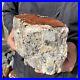 4_1LB_Rare_Natural_petrified_wood_rough_Wood_fossil_mineral_specimen_healing_01_bnxc