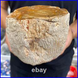 4.1lb Rare Natural petrified wood rough Wood fossil mineral specimen healing