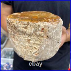 4.1lb Rare Natural petrified wood rough Wood fossil mineral specimen healing