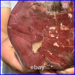 4.28LB Natural Fossil Petrified Wood Polished Freeform Crystal Mineral Healing